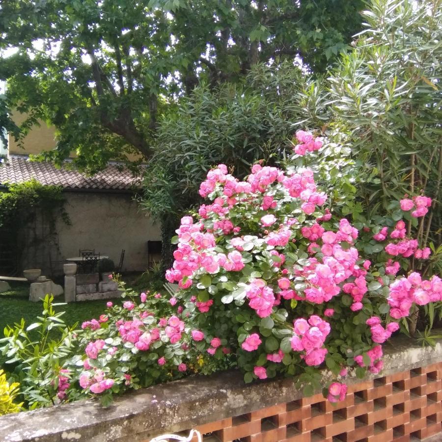 Le Mas Des Dames Appartement Avignon Exterior photo